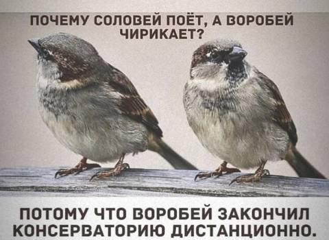 http://upforme.ru/uploads/000a/3f/42/33/t877421.jpg
