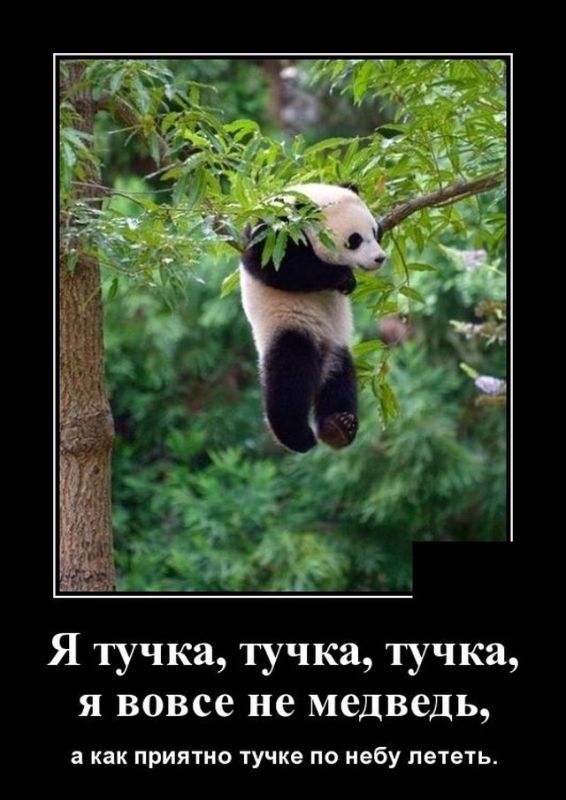 http://upforme.ru/uploads/000a/3f/42/33/t892715.jpg