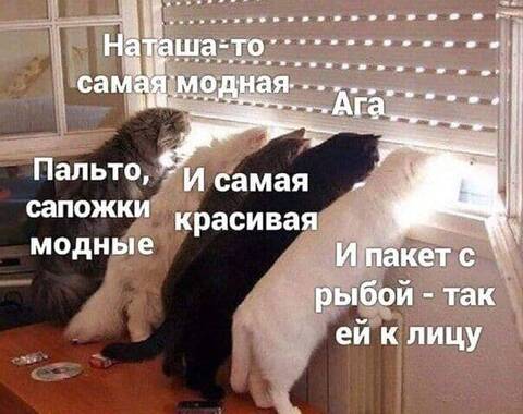 http://upforme.ru/uploads/000a/3f/42/401/t236640.jpg