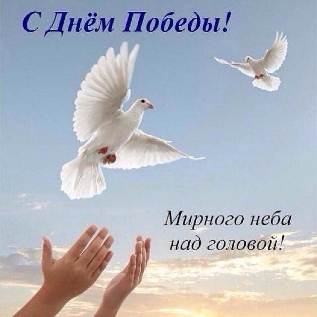 http://upforme.ru/uploads/000a/3f/42/512/795546.jpg