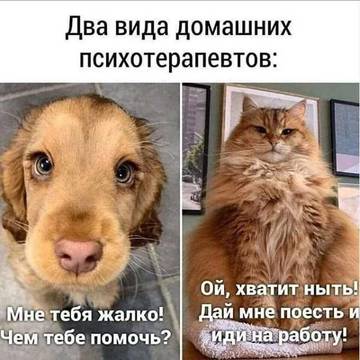 http://upforme.ru/uploads/000a/3f/42/512/t180385.jpg