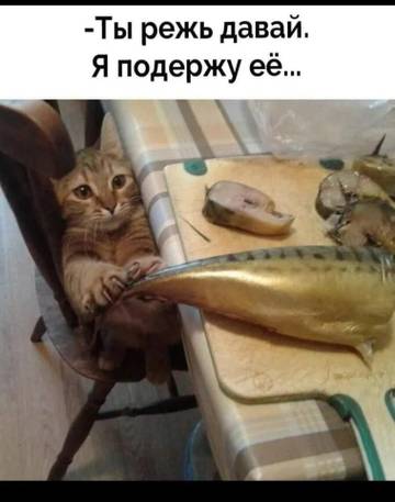 http://upforme.ru/uploads/000a/3f/42/512/t317921.jpg