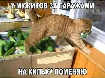 http://upforme.ru/uploads/000a/3f/42/512/t332347.jpg