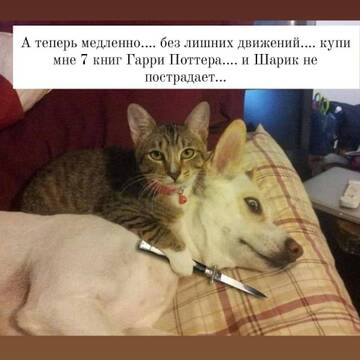 http://upforme.ru/uploads/000a/3f/42/512/t45677.jpg