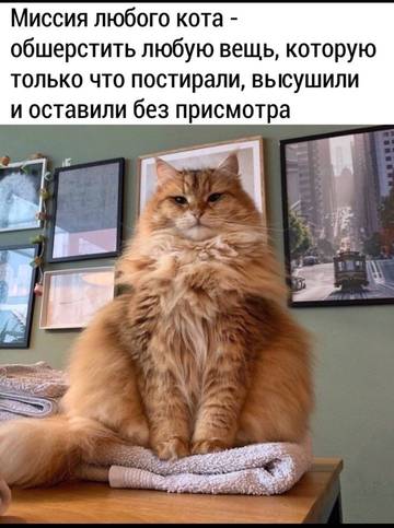 http://upforme.ru/uploads/000a/3f/42/512/t765262.jpg