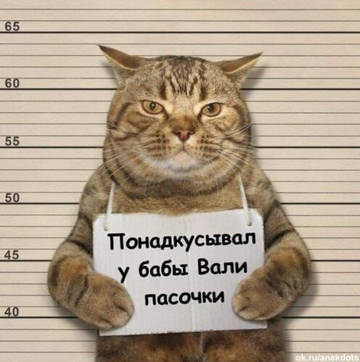 http://upforme.ru/uploads/000a/3f/42/534/t115431.jpg