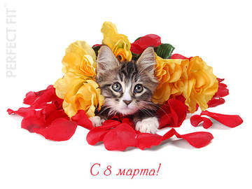 http://upforme.ru/uploads/000a/3f/42/534/t20348.jpg