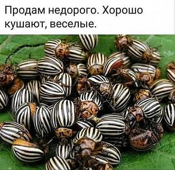 http://upforme.ru/uploads/000a/3f/42/534/t210285.jpg
