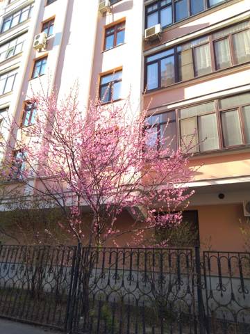 http://upforme.ru/uploads/000a/3f/42/534/t556397.jpg