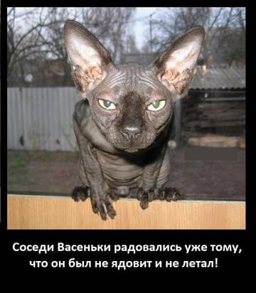 http://upforme.ru/uploads/000a/3f/42/534/t55694.jpg