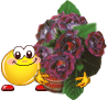 http://upforme.ru/uploads/000a/3f/42/591/31490.gif