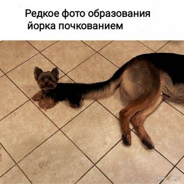 http://upforme.ru/uploads/000a/3f/42/591/t941789.jpg