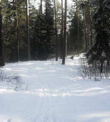 http://upforme.ru/uploads/000a/3f/42/680/t101607.jpg
