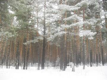http://upforme.ru/uploads/000a/3f/42/680/t914491.jpg
