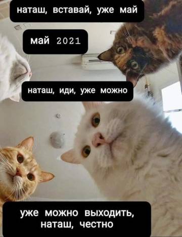 http://upforme.ru/uploads/000a/3f/42/725/t757186.jpg
