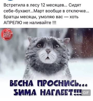 http://upforme.ru/uploads/000a/3f/42/758/t91152.jpg