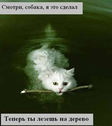 http://upforme.ru/uploads/000a/3f/42/819/t745401.jpg