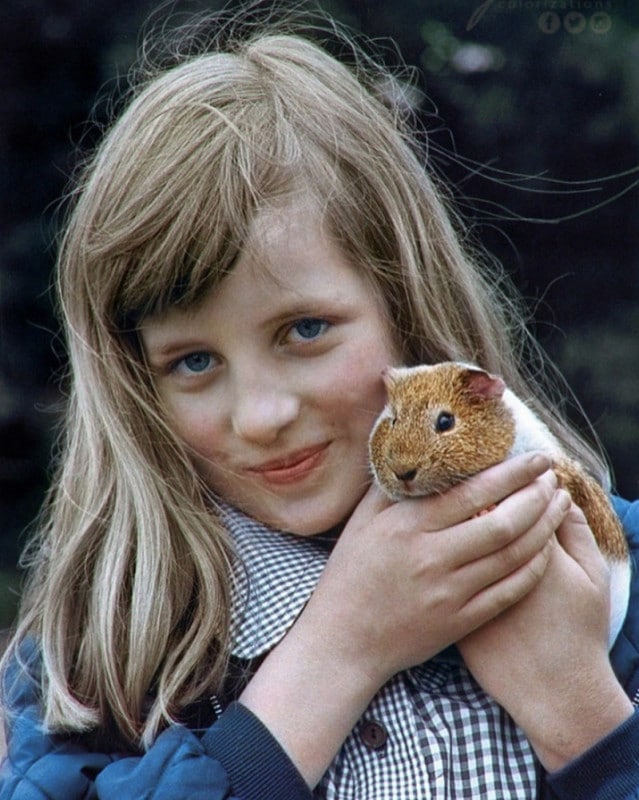 http://upforme.ru/uploads/000a/3f/42/831/125641.jpg