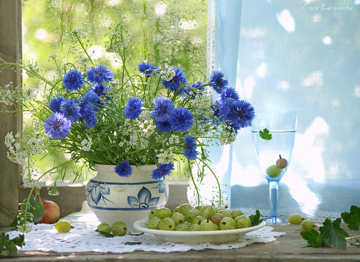 http://upforme.ru/uploads/000a/3f/42/831/223291.jpg