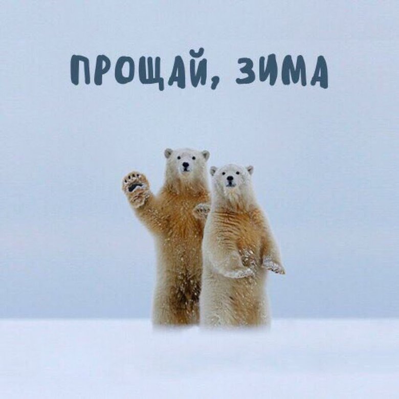 http://upforme.ru/uploads/000a/3f/42/831/719097.jpg