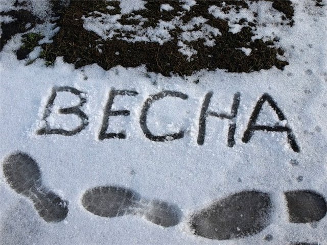 http://upforme.ru/uploads/000a/3f/42/95860-1-f.jpg