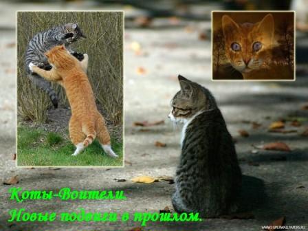 http://upforme.ru/uploads/000a/3f/e8/178-1-f.jpg