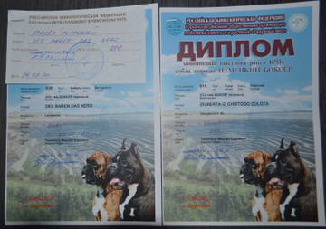 http://upforme.ru/uploads/000a/51/ea/751/t528041.jpg