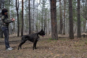 http://upforme.ru/uploads/000a/51/ea/751/t841540.jpg
