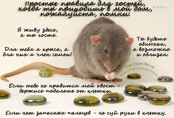 http://upforme.ru/uploads/000a/56/e5/11/808281.jpg