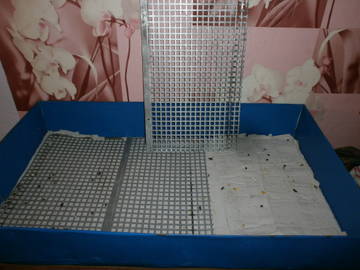 http://upforme.ru/uploads/000a/56/e5/1889/t60251.jpg