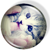 http://upforme.ru/uploads/000a/60/8f/175-1.png