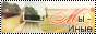 http://upforme.ru/uploads/000a/61/4c/520-1.png