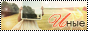 http://upforme.ru/uploads/000a/61/4c/520-2.png