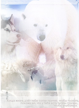 http://upforme.ru/uploads/000a/61/4c/538-1-f.png
