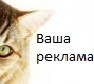 http://upforme.ru/uploads/000a/62/7b/591-1.jpg