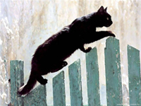 http://upforme.ru/uploads/000a/69/a0/795-2.jpg