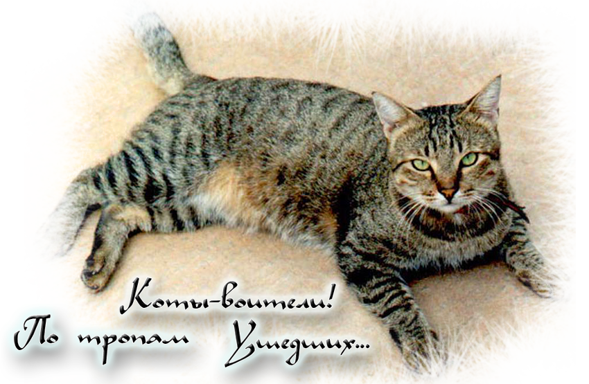 http://upforme.ru/uploads/000a/6d/39/5245-1-f.png