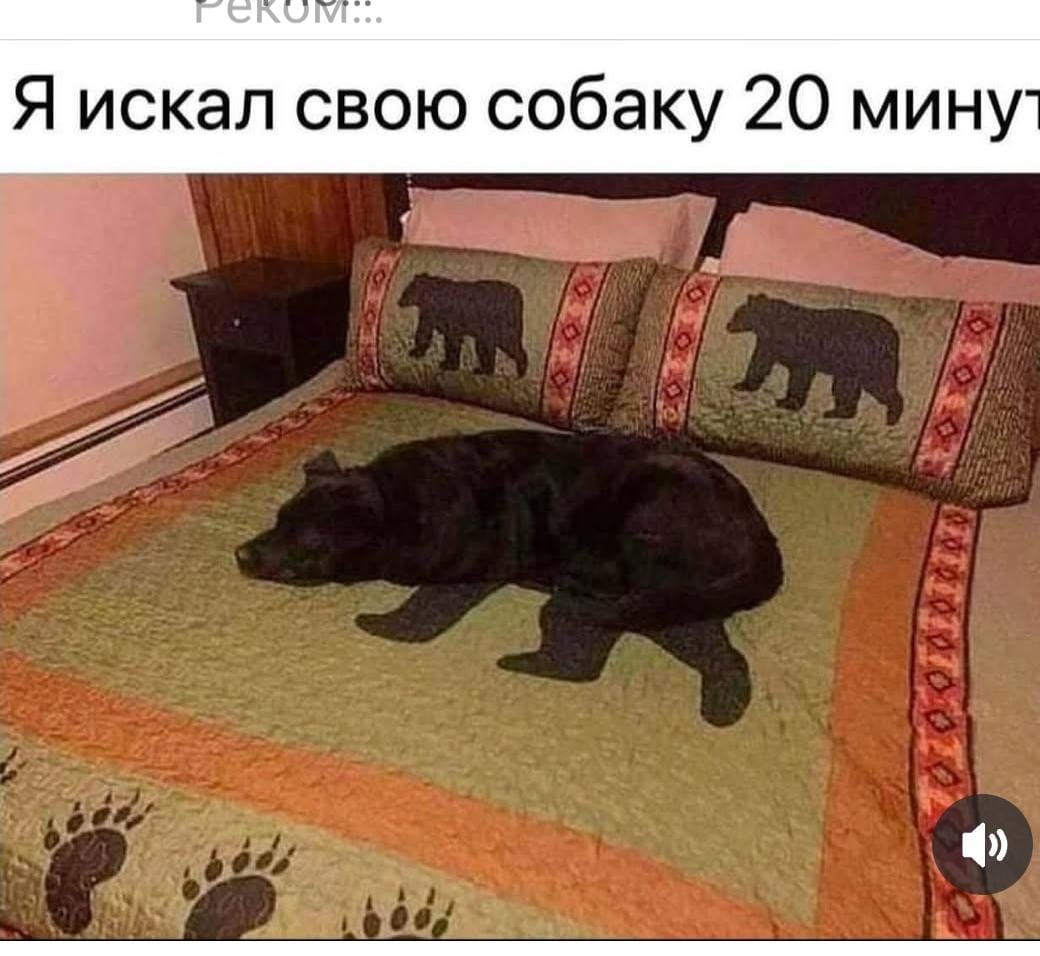 http://upforme.ru/uploads/000a/78/7a/526/138462.jpg