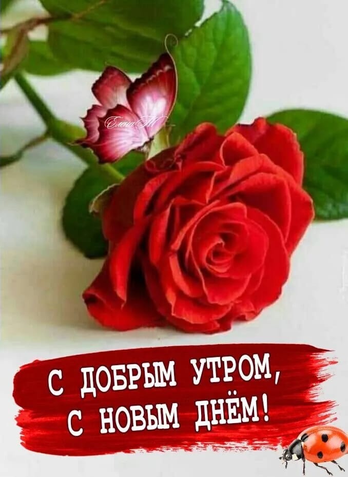 http://upforme.ru/uploads/000a/78/7a/526/143939.jpg