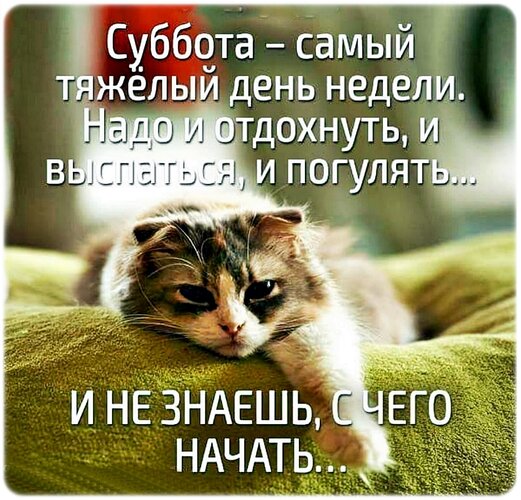 http://upforme.ru/uploads/000a/78/7a/526/153184.jpg