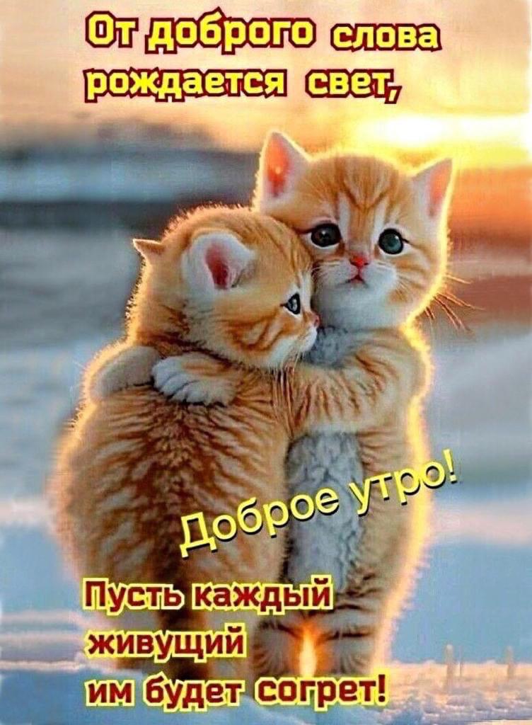 http://upforme.ru/uploads/000a/78/7a/526/161839.jpg