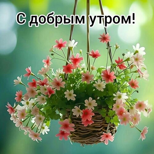http://upforme.ru/uploads/000a/78/7a/526/162632.jpg