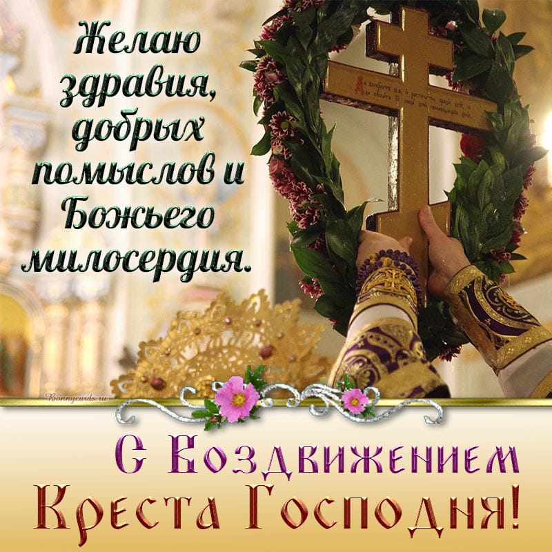 http://upforme.ru/uploads/000a/78/7a/526/164828.jpg