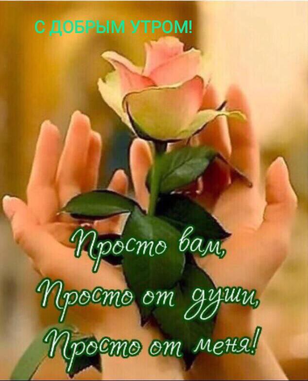 http://upforme.ru/uploads/000a/78/7a/526/17728.jpg