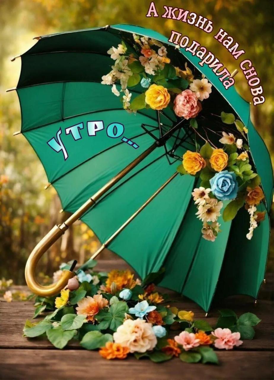 http://upforme.ru/uploads/000a/78/7a/526/213923.jpg