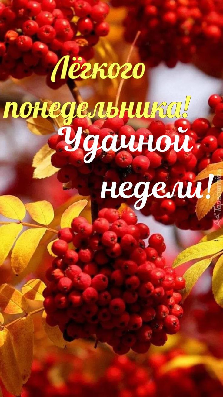 http://upforme.ru/uploads/000a/78/7a/526/219860.jpg