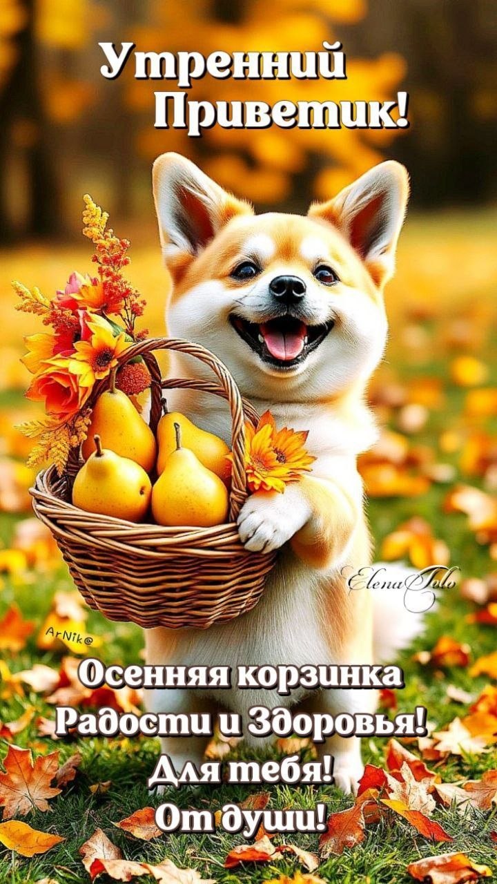 http://upforme.ru/uploads/000a/78/7a/526/23283.jpg