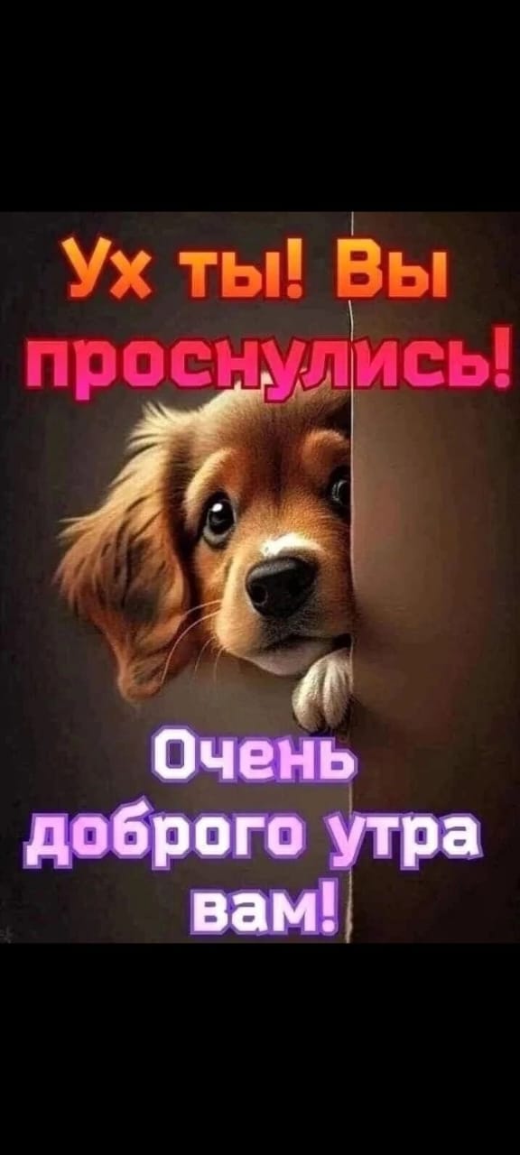 http://upforme.ru/uploads/000a/78/7a/526/239776.jpg