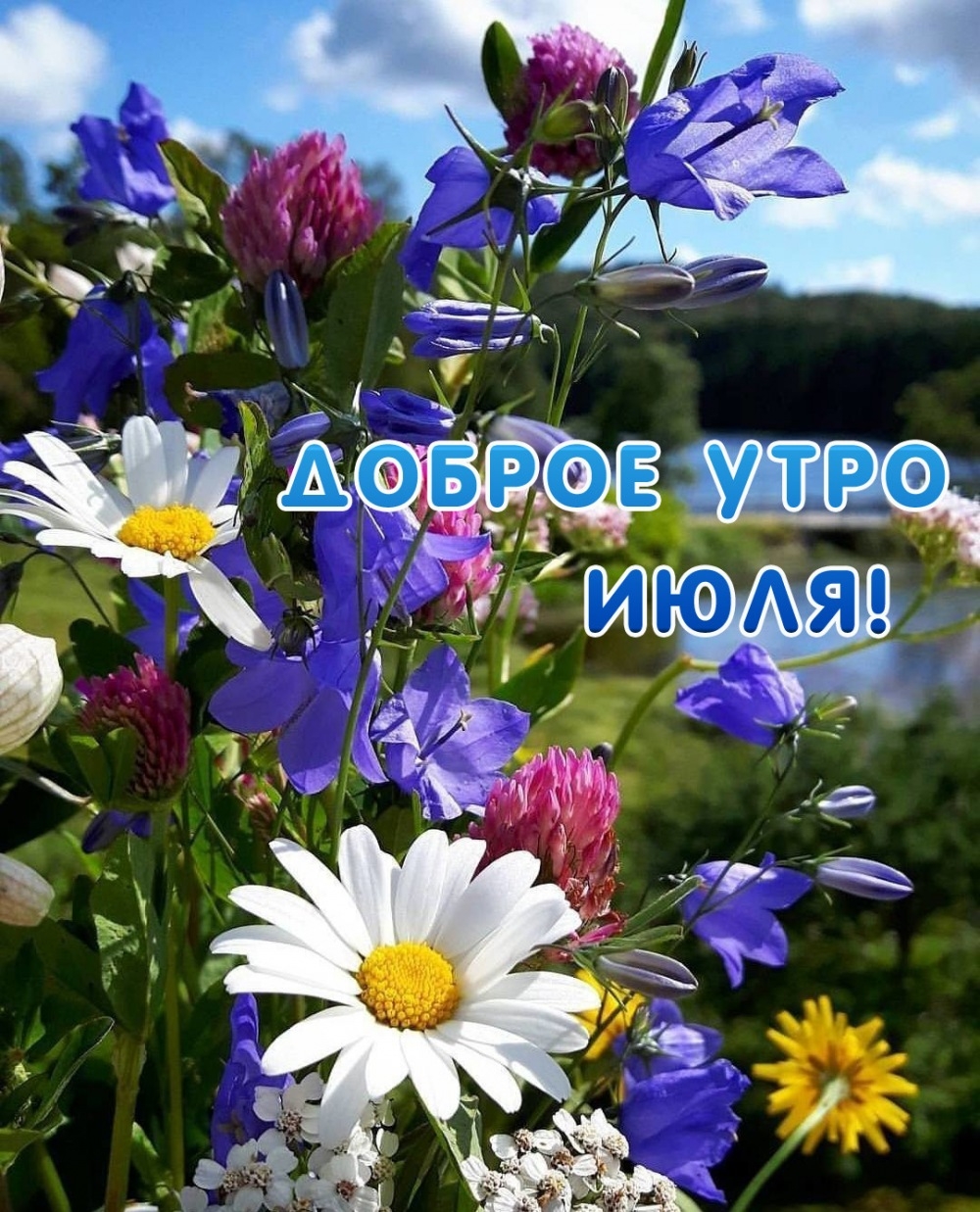 http://upforme.ru/uploads/000a/78/7a/526/243829.jpg