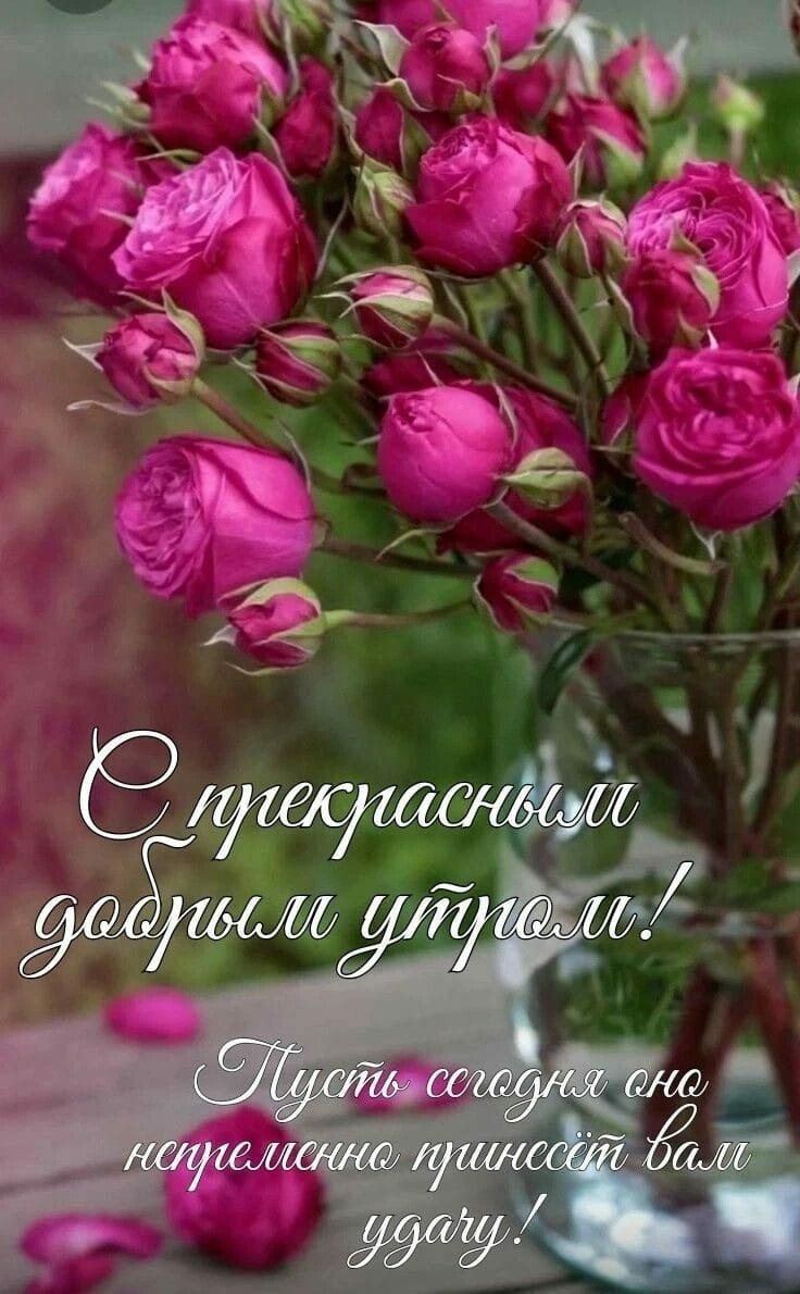 http://upforme.ru/uploads/000a/78/7a/526/275596.jpg
